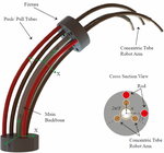 Design and Quasistatic Modelling of Hybrid Continuum Multi-Arm Robots