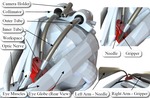 [2020] Optic Nerve Sheath Fenestration with a Multi-Arm Continuum Robot